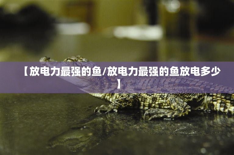 【放电力最强的鱼/放电力最强的鱼放电多少】