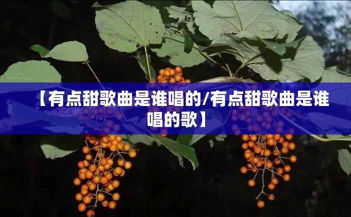 【有点甜歌曲是谁唱的/有点甜歌曲是谁唱的歌】