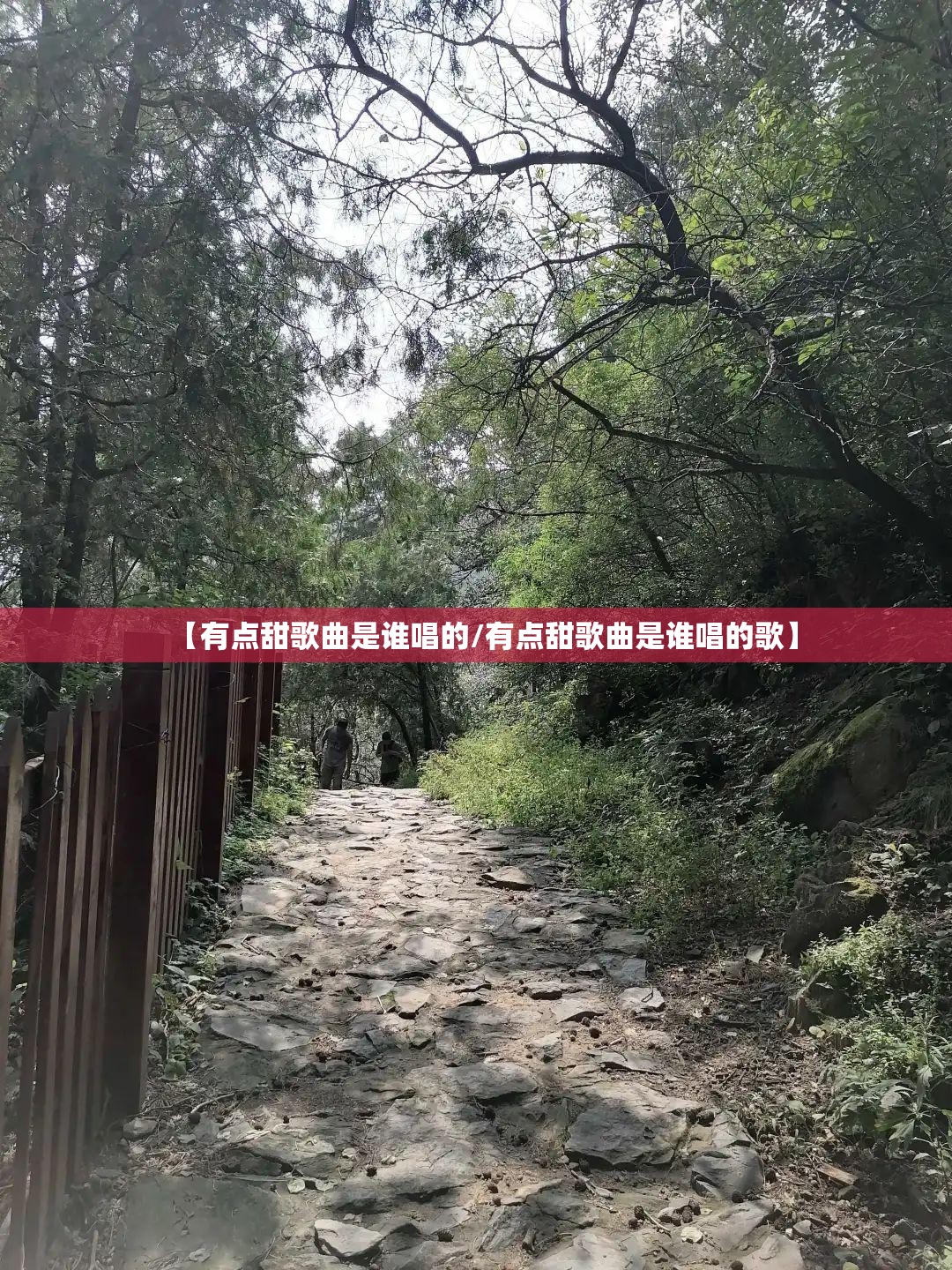 【有点甜歌曲是谁唱的/有点甜歌曲是谁唱的歌】