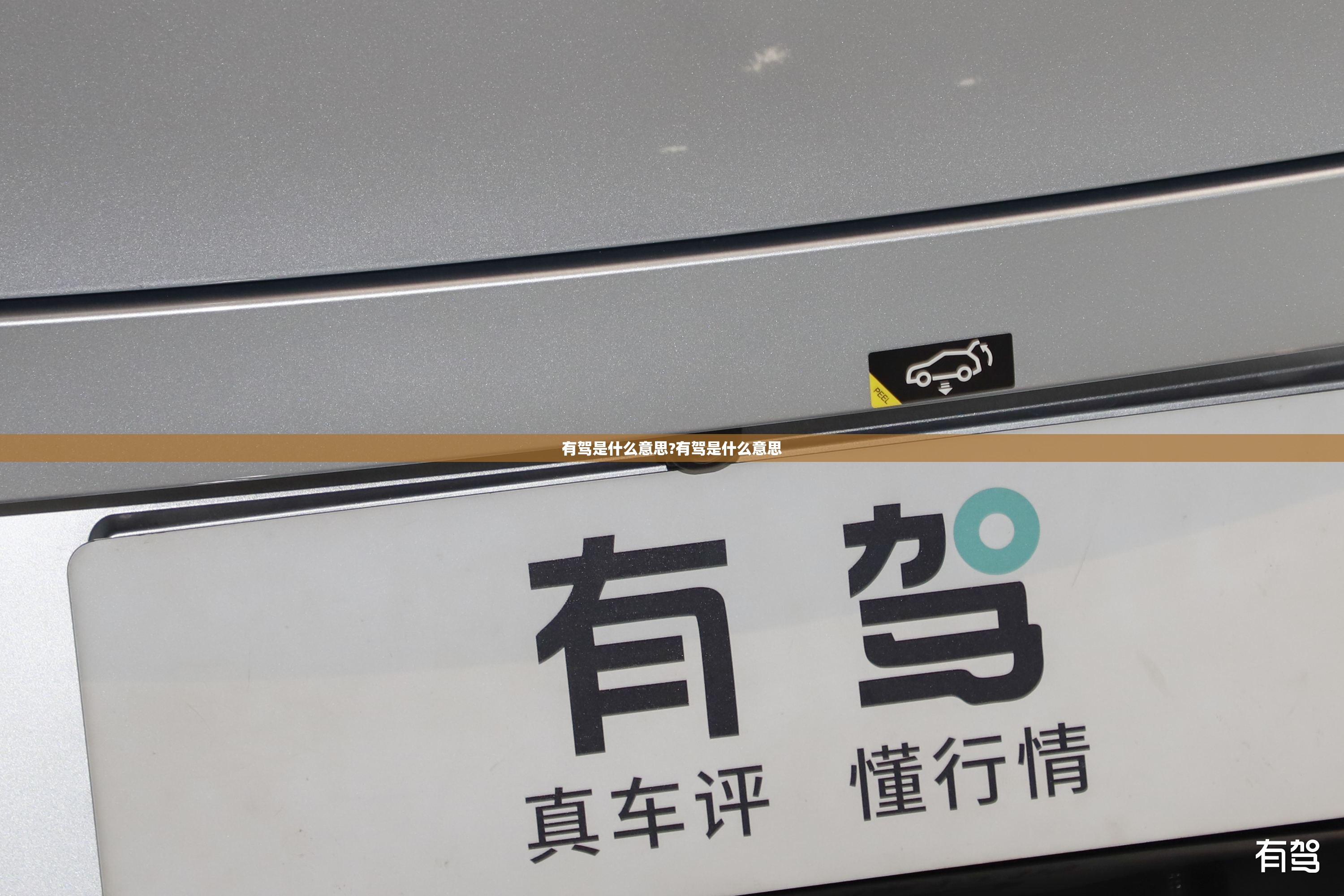 有驾是什么意思?有驾是什么意思