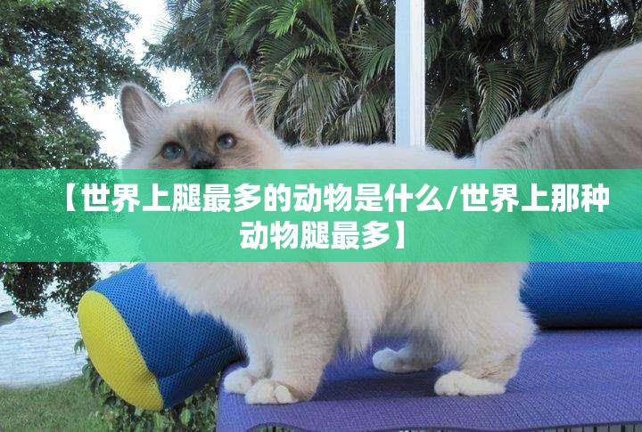 【世界上腿最多的动物是什么/世界上那种动物腿最多】
