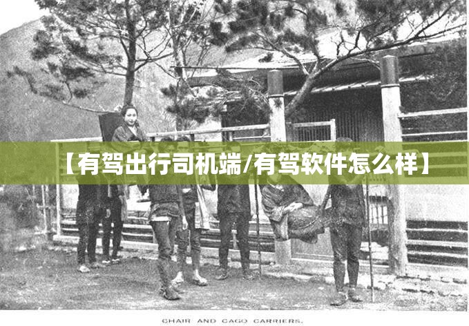 【有驾出行司机端/有驾软件怎么样】