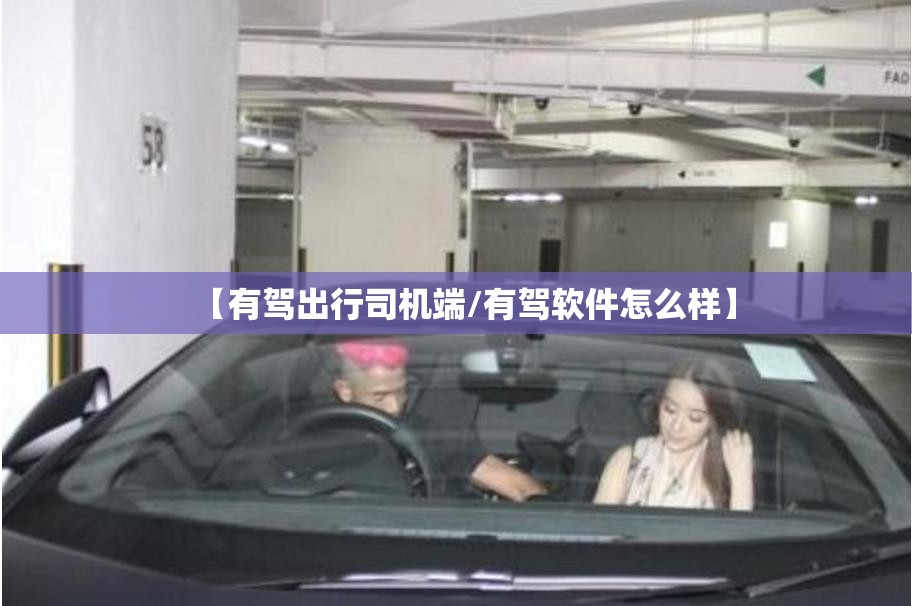 【有驾出行司机端/有驾软件怎么样】