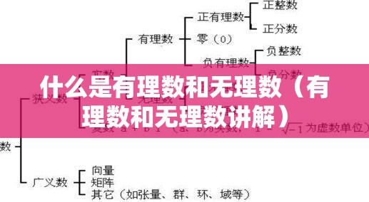 什么是有理数和无理数（有理数和无理数讲解）