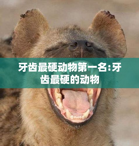 牙齿最硬动物第一名:牙齿最硬的动物