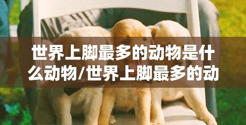 世界上脚最多的动物是什么动物/世界上脚最多的动物是什么