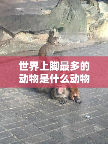 世界上脚最多的动物是什么动物/世界上脚最多的动物是什么
