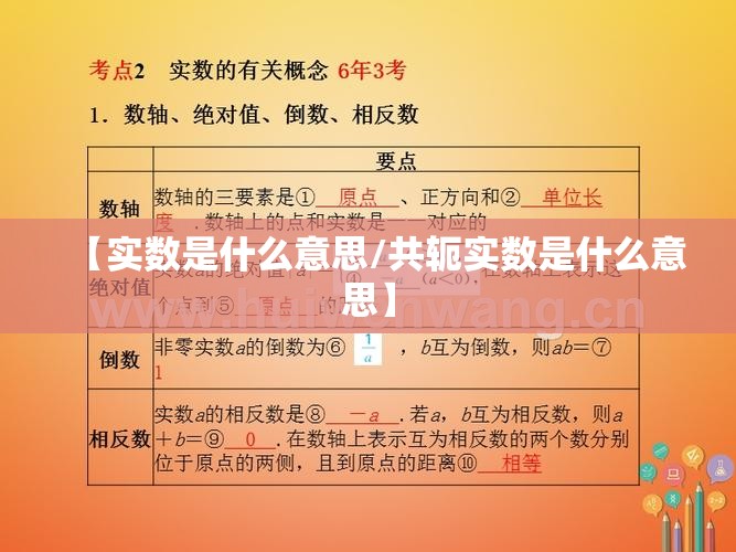 【实数是什么意思/共轭实数是什么意思】