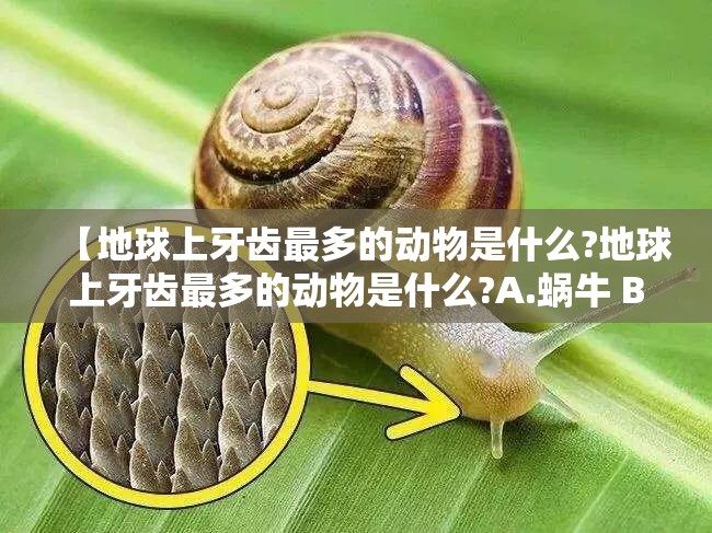 【地球上牙齿最多的动物是什么?地球上牙齿最多的动物是什么?A.蜗牛 B.鲸鱼 C.鳄鱼】