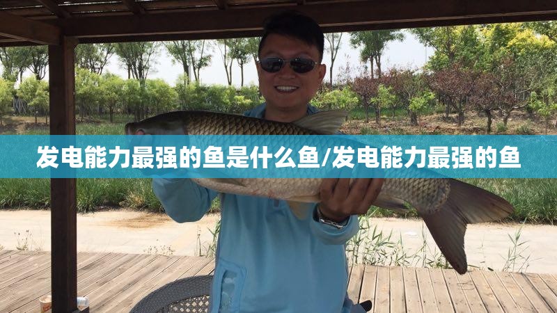 发电能力最强的鱼是什么鱼/发电能力最强的鱼