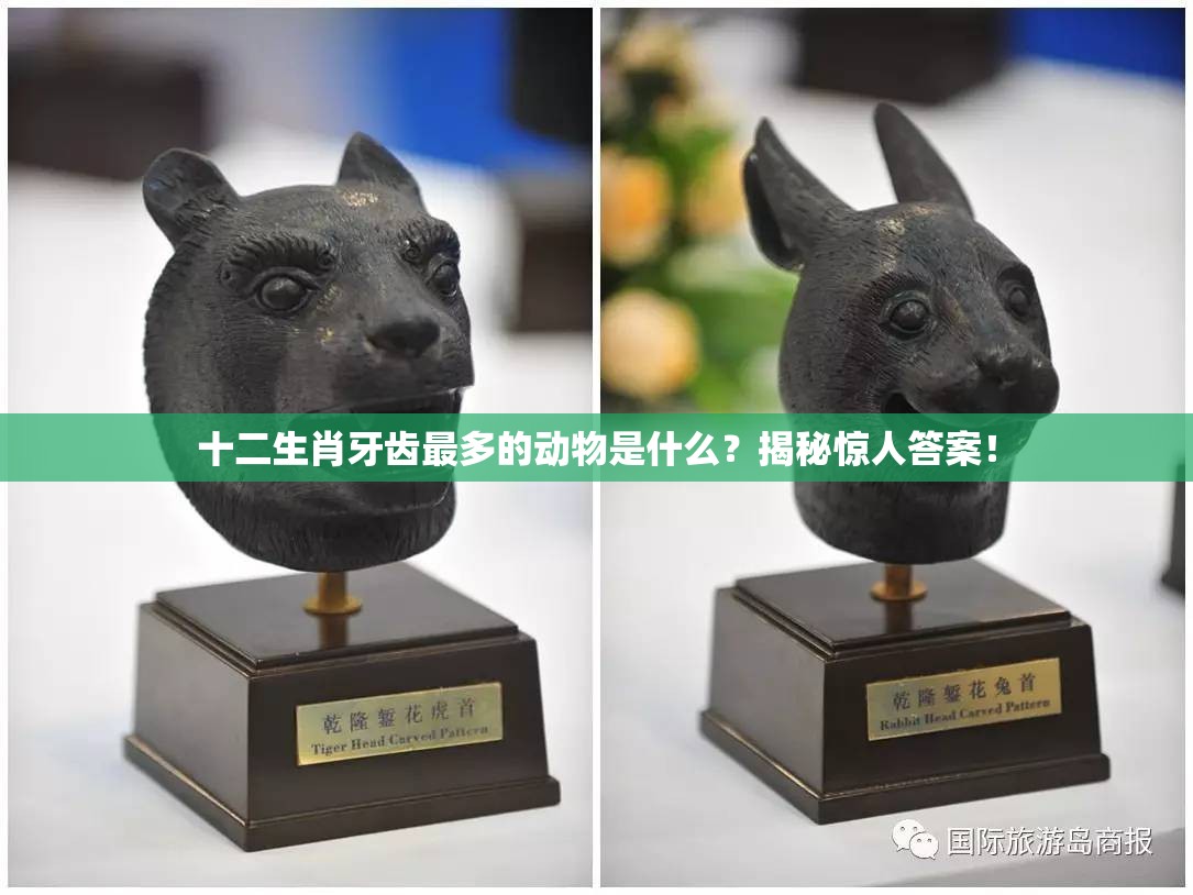 十二生肖牙齿最多的动物是什么？揭秘惊人答案！