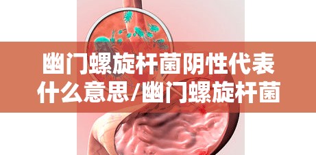 幽门螺旋杆菌阴性代表什么意思/幽门螺旋杆菌阳性代表什么意思