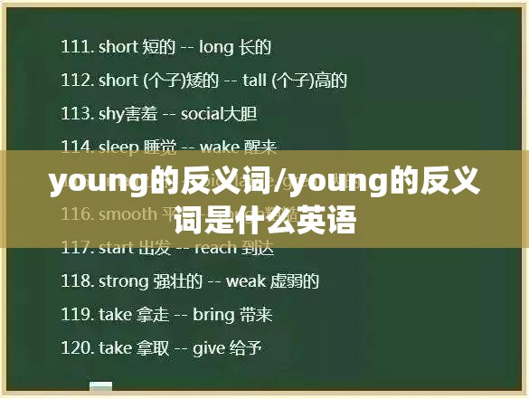 young的反义词/young的反义词是什么英语