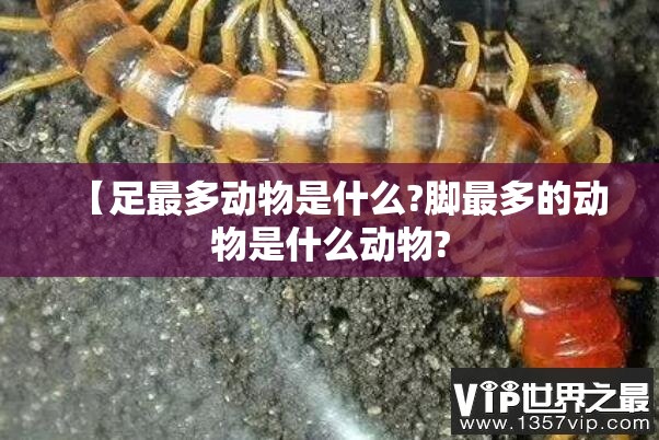 【足最多动物是什么?脚最多的动物是什么动物?