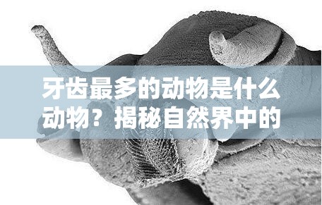 牙齿最多的动物是什么动物？揭秘自然界中的牙齿之王！