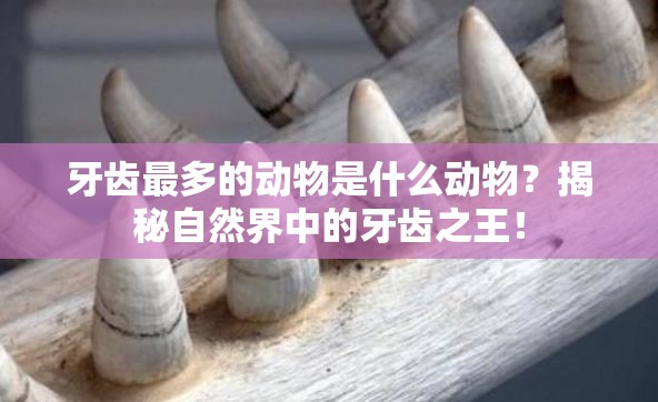 牙齿最多的动物是什么动物？揭秘自然界中的牙齿之王！