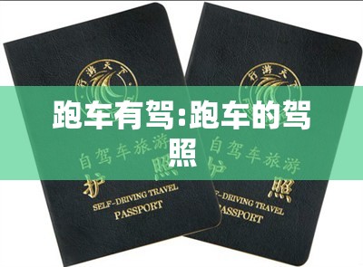 跑车有驾:跑车的驾照