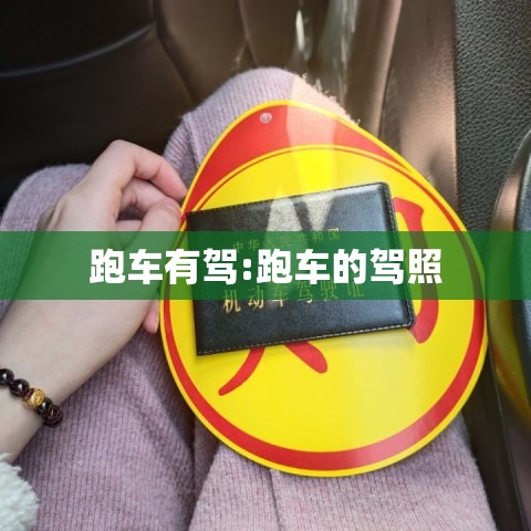 跑车有驾:跑车的驾照