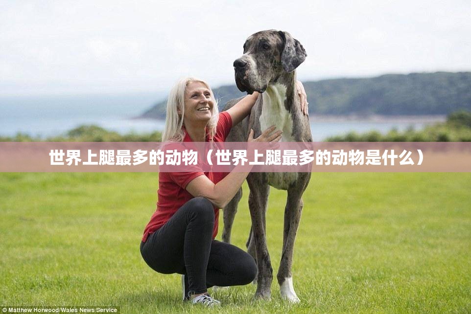 世界上腿最多的动物（世界上腿最多的动物是什么）