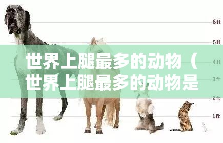世界上腿最多的动物（世界上腿最多的动物是什么）