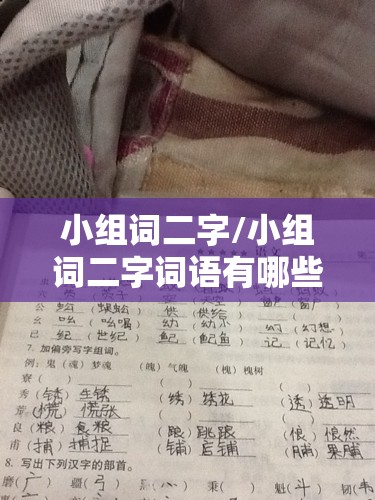 小组词二字/小组词二字词语有哪些