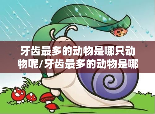 牙齿最多的动物是哪只动物呢/牙齿最多的动物是哪只动物