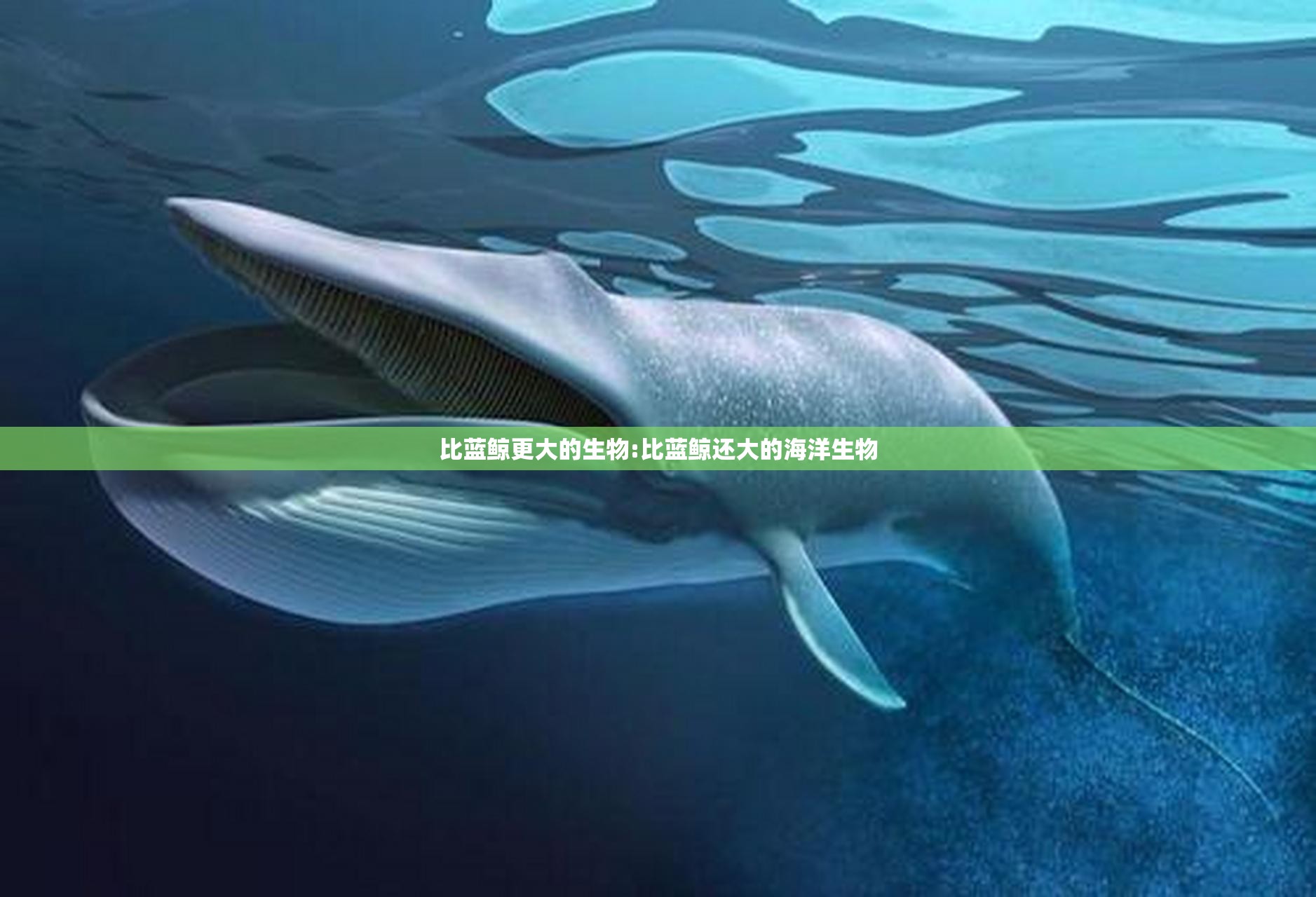 你组词两个字一年级上册/一年级和组词两个字