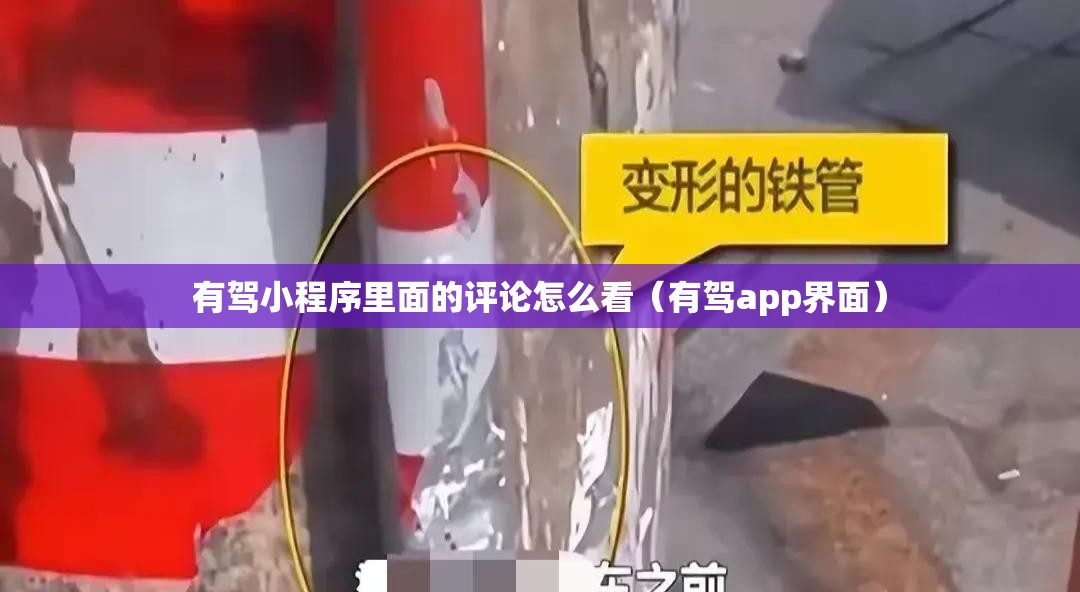 有驾小程序里面的评论怎么看（有驾app界面）