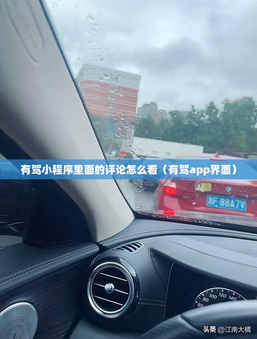 有驾小程序里面的评论怎么看（有驾app界面）