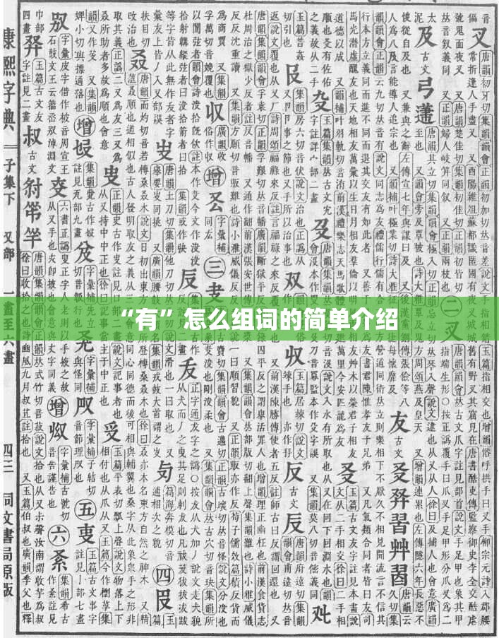“有”怎么组词的简单介绍