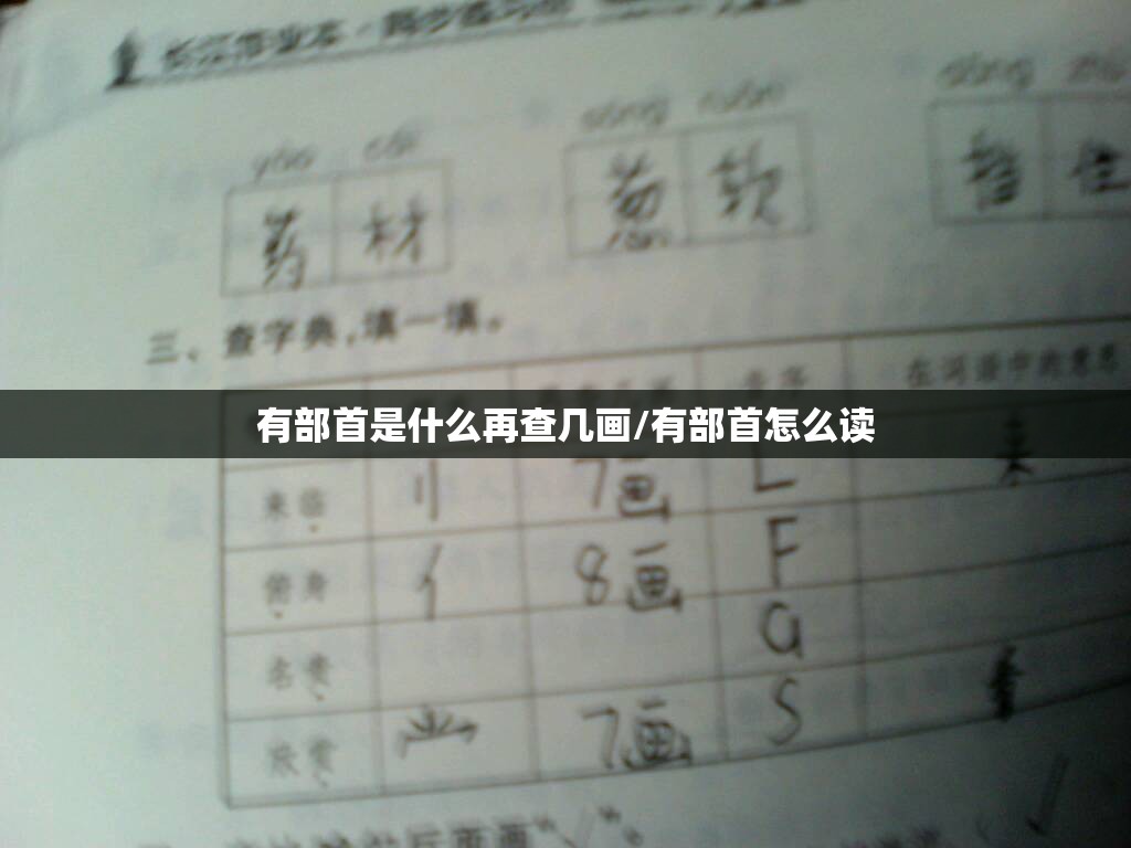 有部首是什么再查几画/有部首怎么读