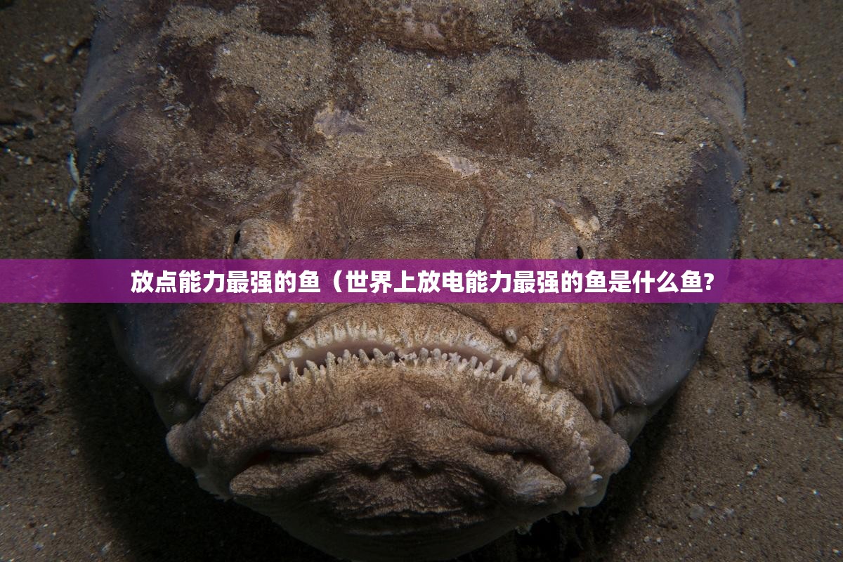 放点能力最强的鱼（世界上放电能力最强的鱼是什么鱼?