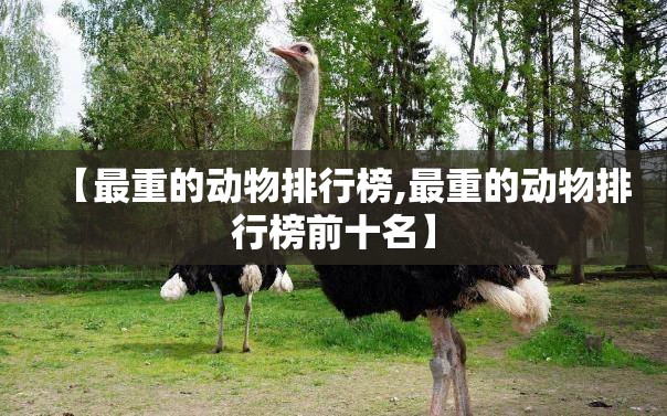 【最重的动物排行榜,最重的动物排行榜前十名】