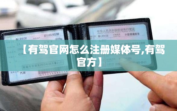 你组词两个字一年级上册/一年级和组词两个字