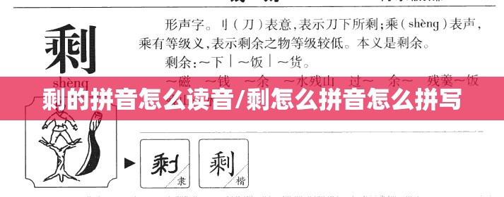 剩的拼音怎么读音/剩怎么拼音怎么拼写