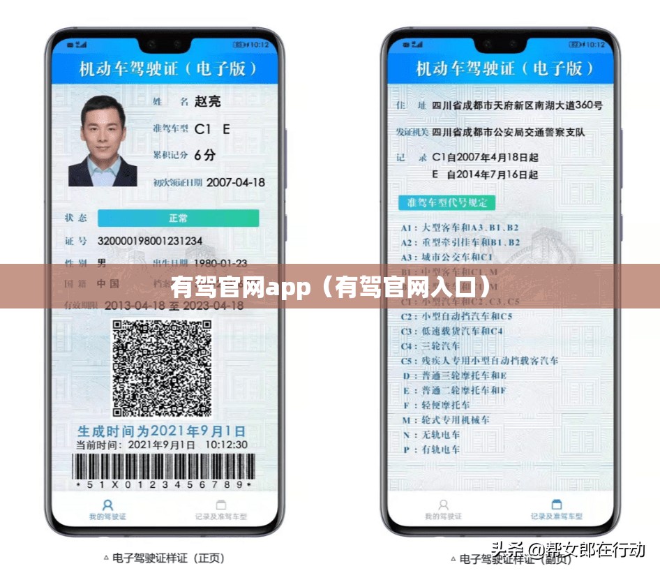 有驾官网app（有驾官网入口）