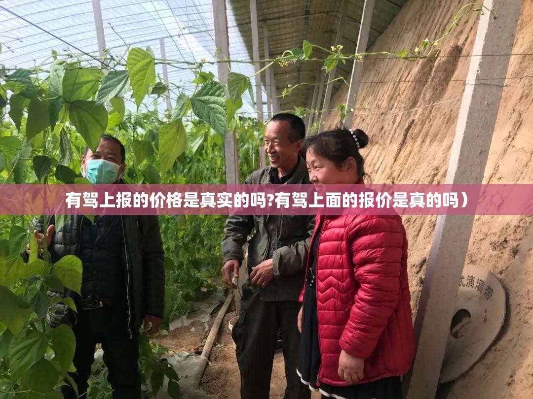 有驾上报的价格是真实的吗?有驾上面的报价是真的吗）