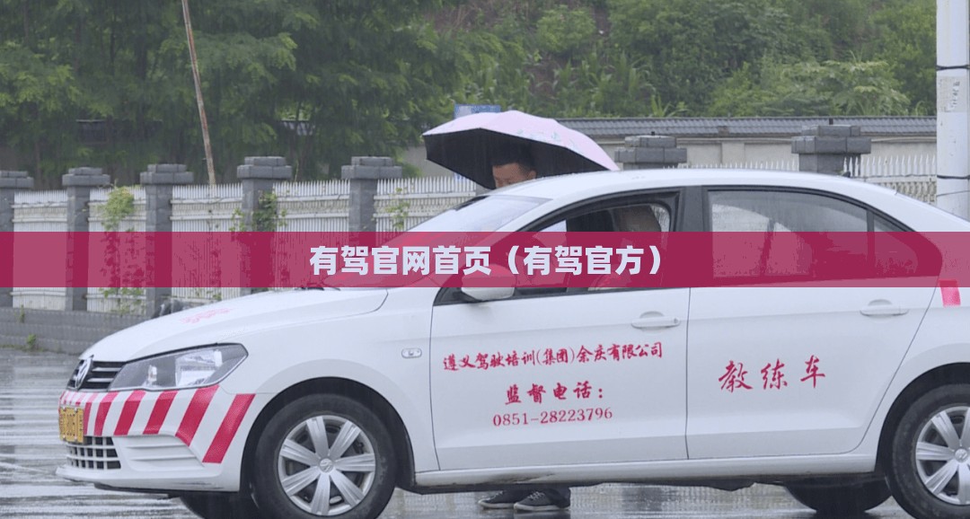 有驾官网首页（有驾官方）