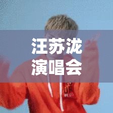汪苏泷演唱会:汪苏泷演唱会视频