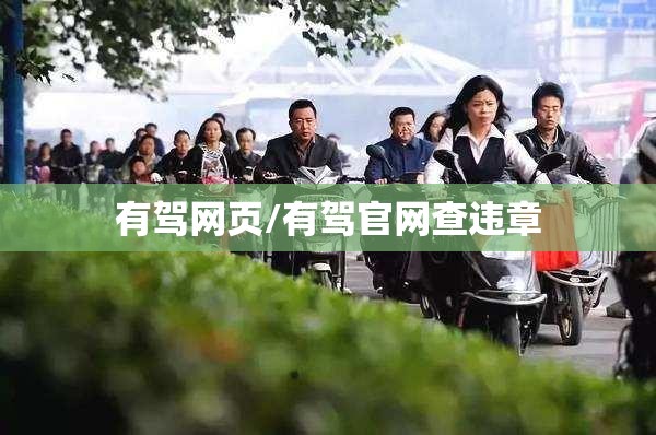 有驾网页/有驾官网查违章