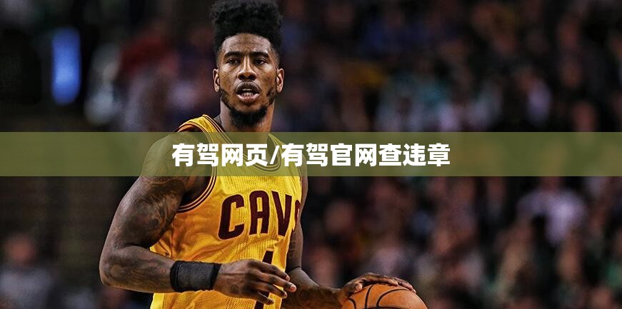 有驾网页/有驾官网查违章
