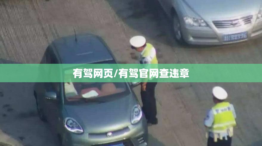 有驾网页/有驾官网查违章