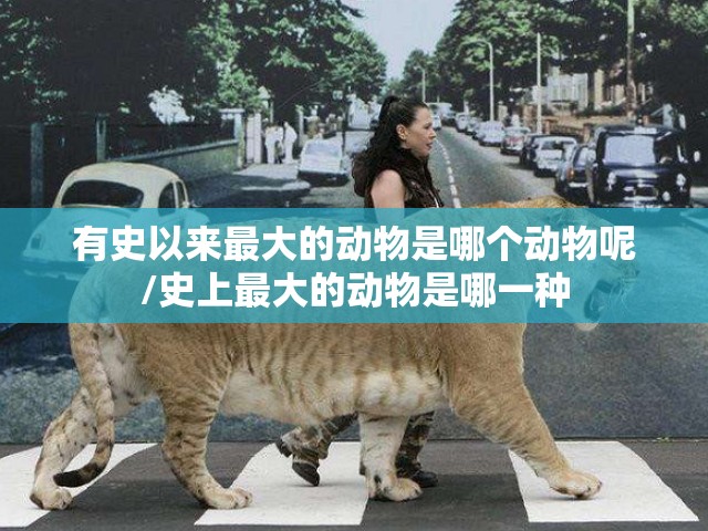 有史以来最大的动物是哪个动物呢/史上最大的动物是哪一种