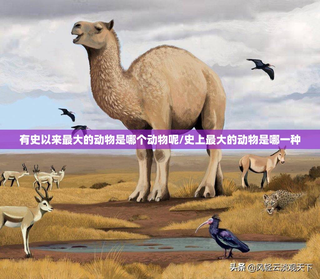 有史以来最大的动物是哪个动物呢/史上最大的动物是哪一种