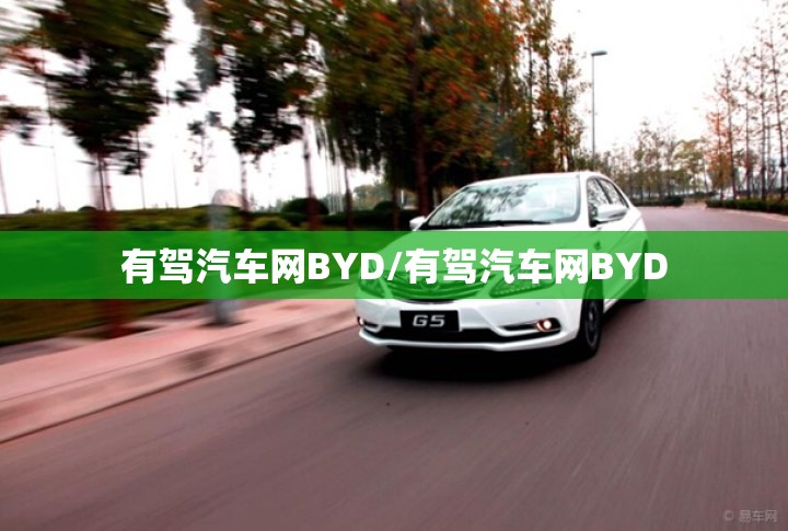 有驾汽车网BYD/有驾汽车网BYD