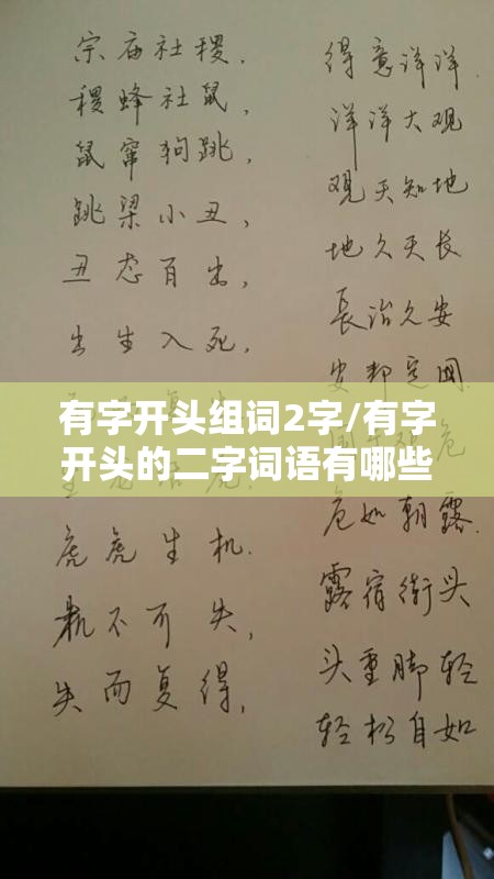 有字开头组词2字/有字开头的二字词语有哪些