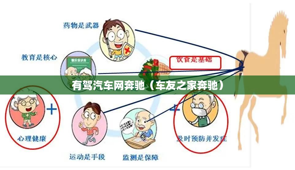 有驾汽车网奔驰（车友之家奔驰）