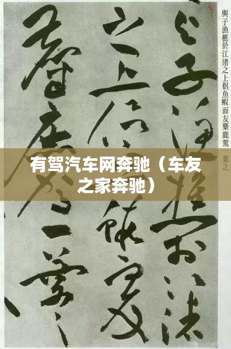 有驾汽车网奔驰（车友之家奔驰）