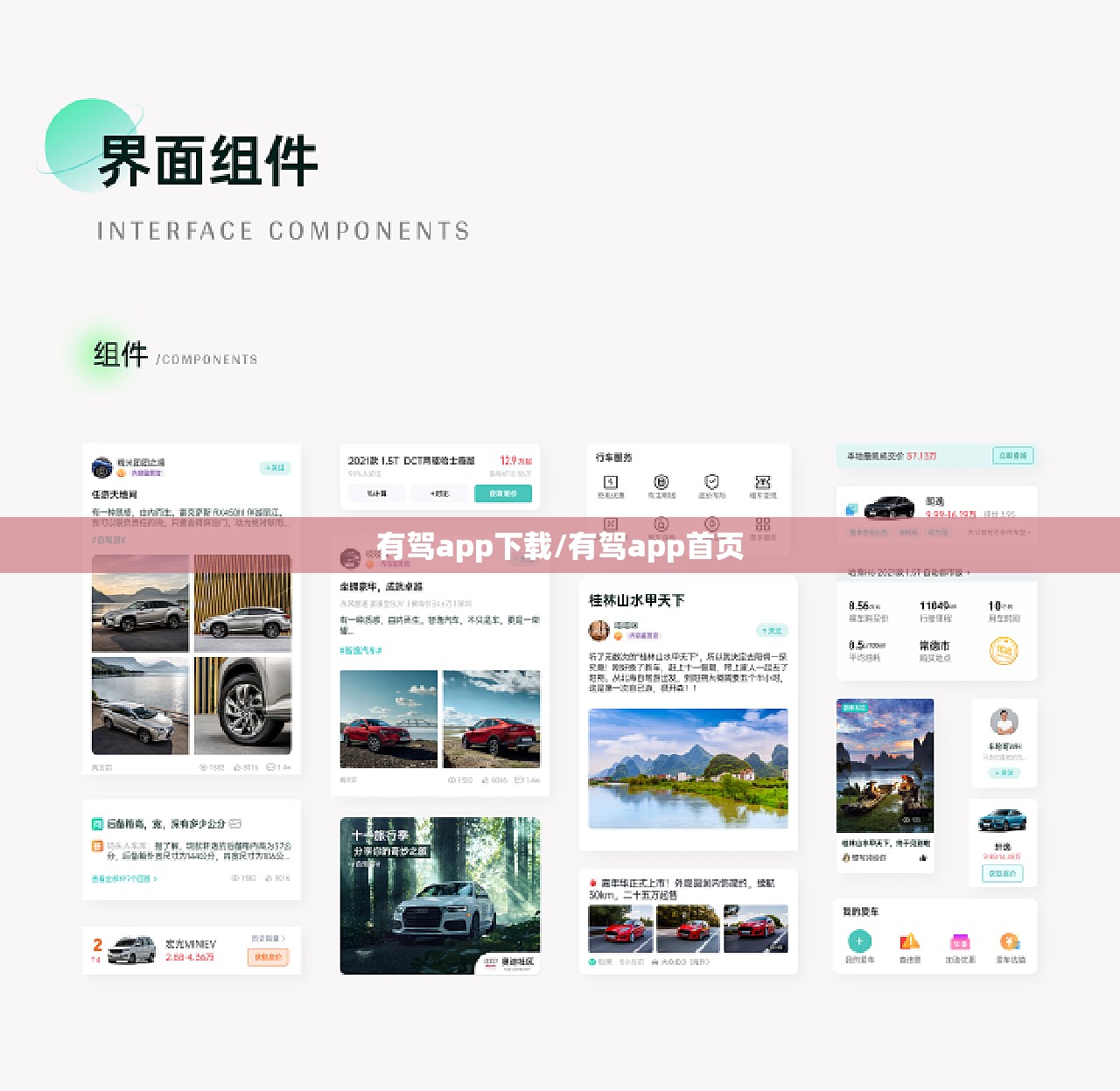 有驾app下载/有驾app首页