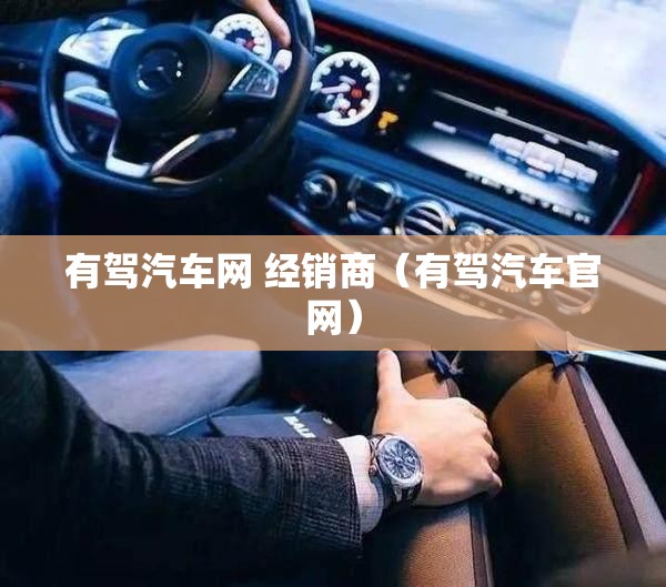 有驾汽车网 经销商（有驾汽车官网）